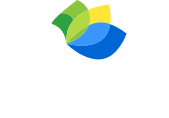Grupo Nazka
